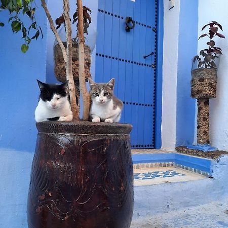 Riad Chourafa Chefchaouen Bagian luar foto